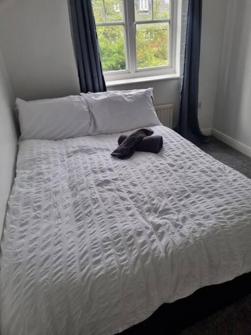 Maidstone Villa 3 Bedroom Free Sports Channels,Parking Sleeps 7 Eksteriør bilde